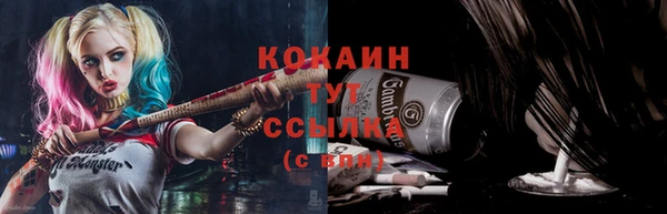 кокс Арсеньев