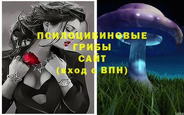 MDMA Аркадак
