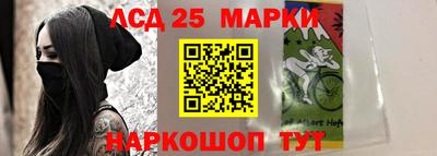 СК Апшеронск