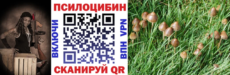 Галлюциногенные грибы ЛСД  где купить наркоту  Белово 