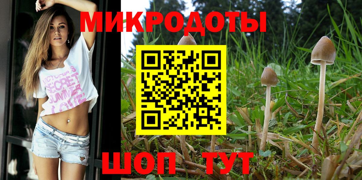 Псилоцибиновые грибы прущие грибы  Вход с VPN  Белово  Псилоцибиновые грибы Magic Shrooms 
