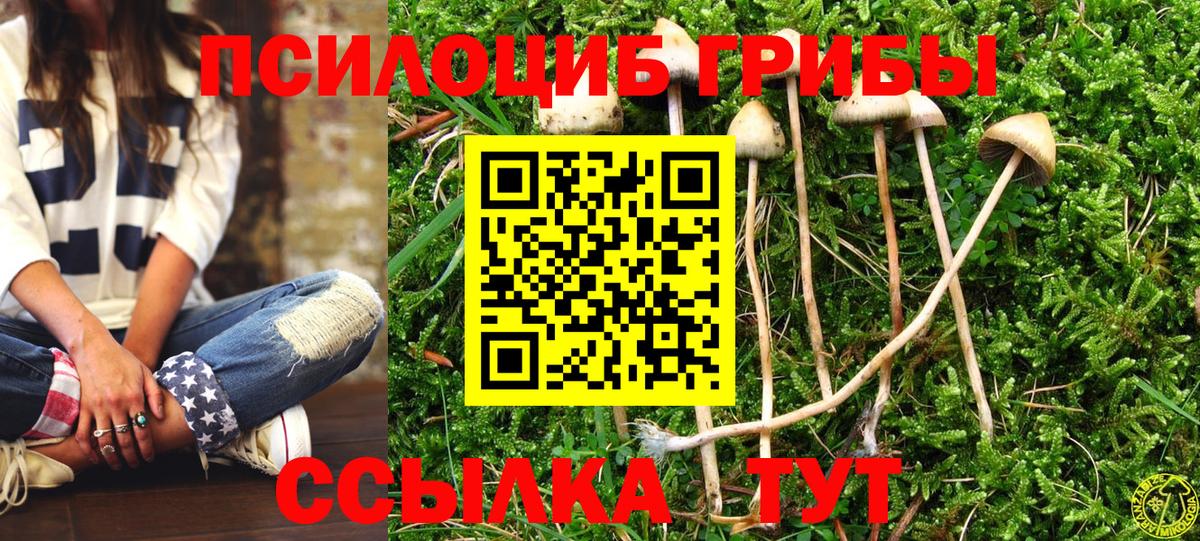 Псилоцибиновые грибы Magic Shrooms  Псилоцибиновые грибы GOLDEN TEACHER  Белово 
