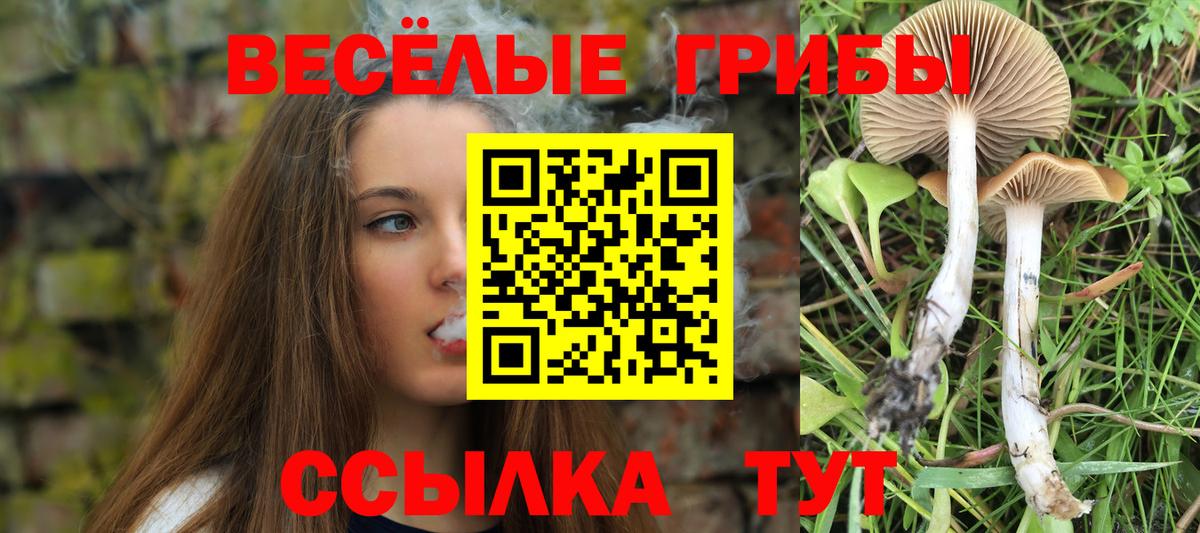  Cocaine Белово